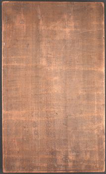 Cod.+Triv.+2295,+piatto+anteriore